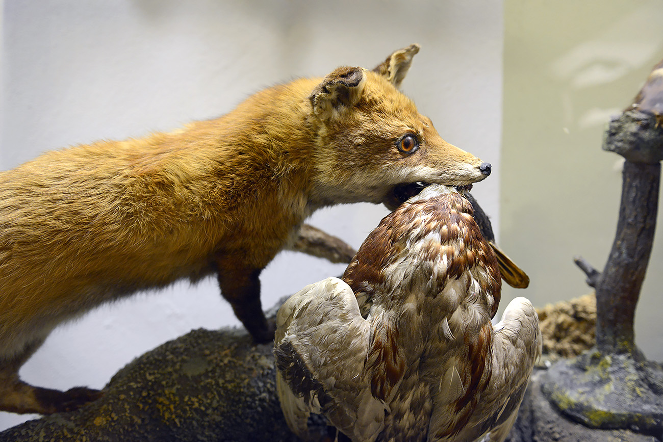 missiemuseum steyl 5-2022 2510