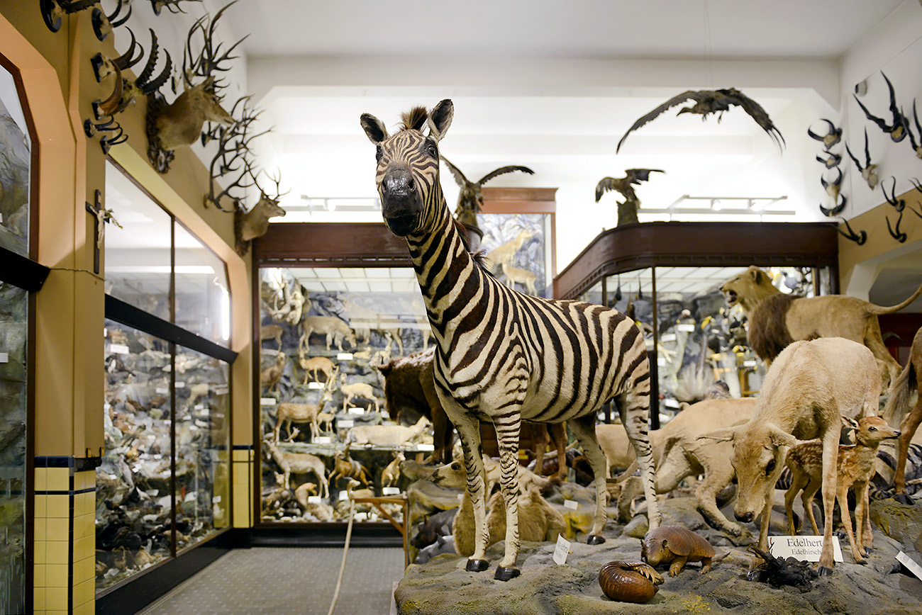 missiemuseum steyl 5-2022 2557