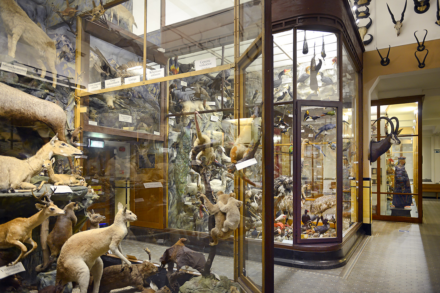 missiemuseum steyl 5-2022 2608