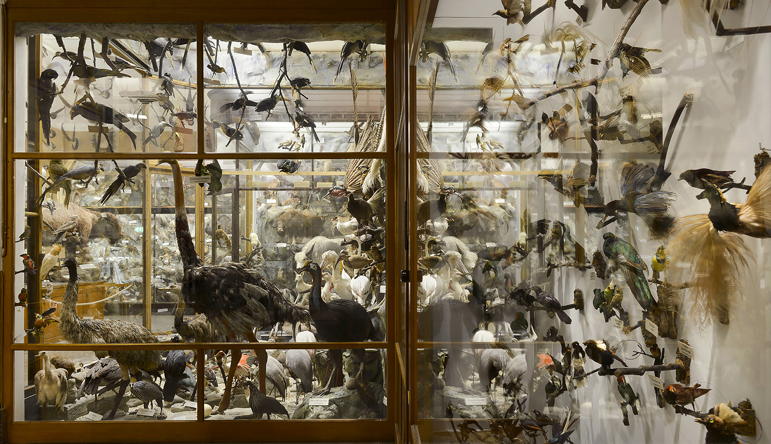 missiemuseum steyl 5-2022 3005v2