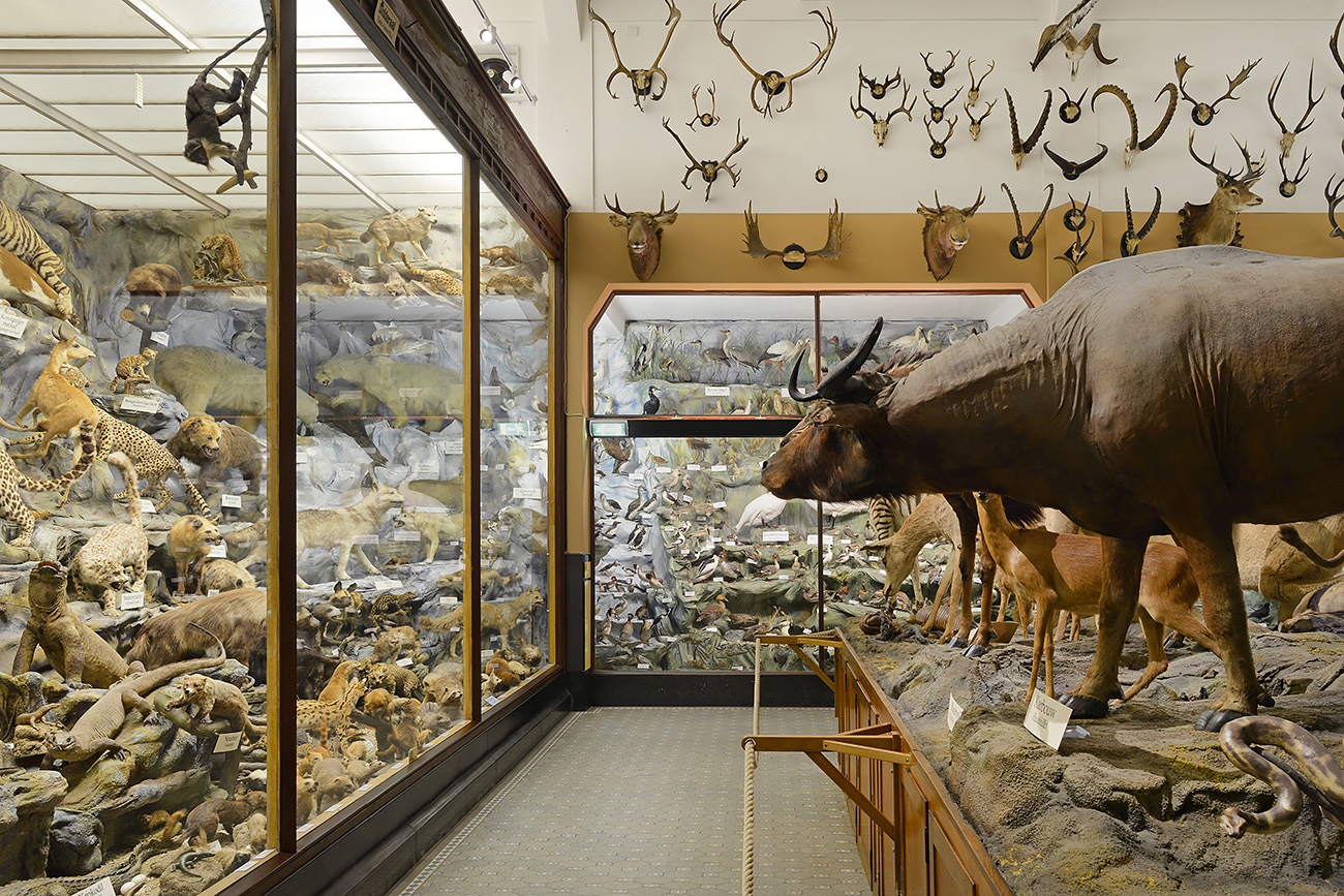 missiemuseum steyl 5-2022 3074