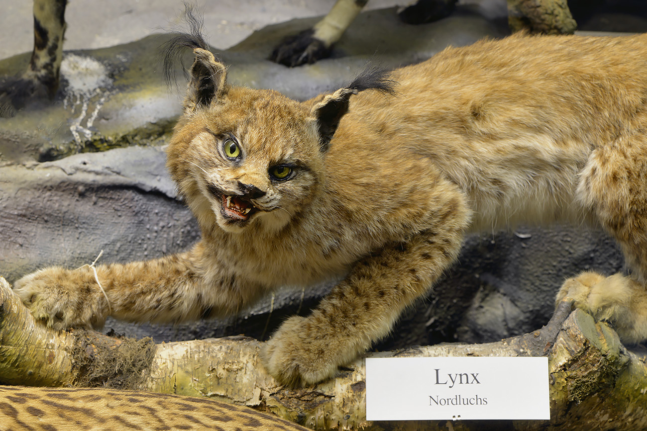 missiemuseum steyl 5-2022 3205