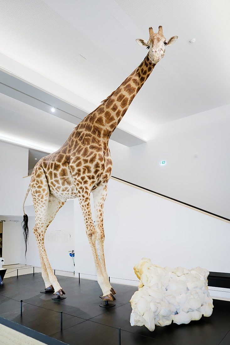 mobe orleans 8-2025 2546