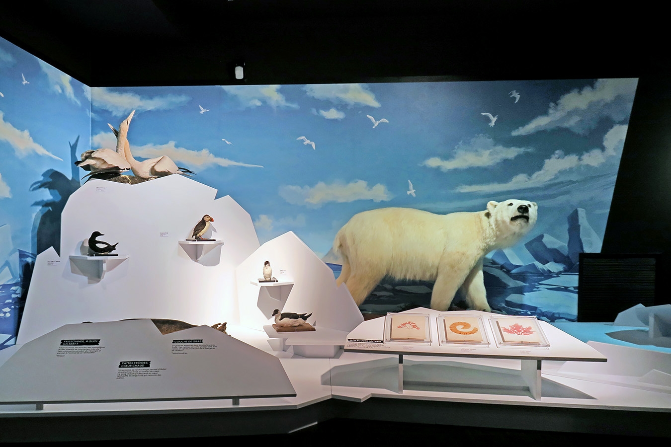 mobe orleans 8-2025 2559