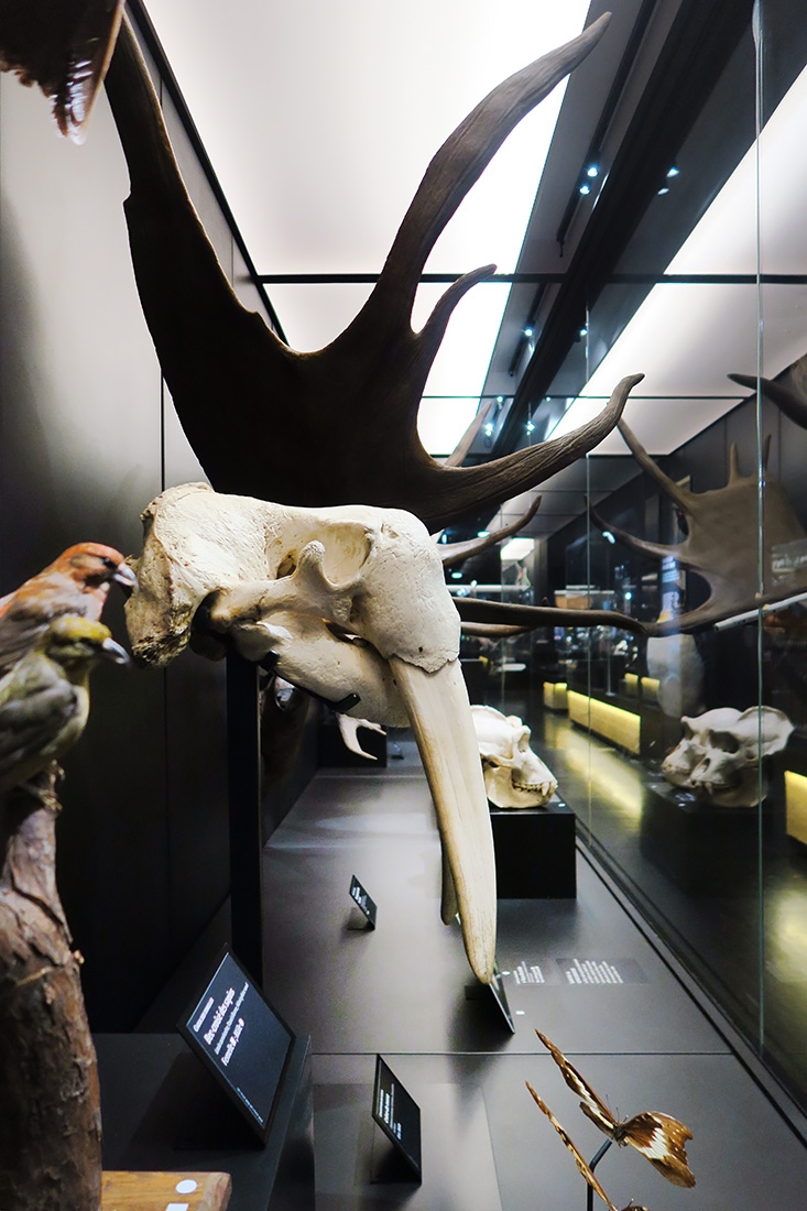 mobe orleans 8-2025 2583