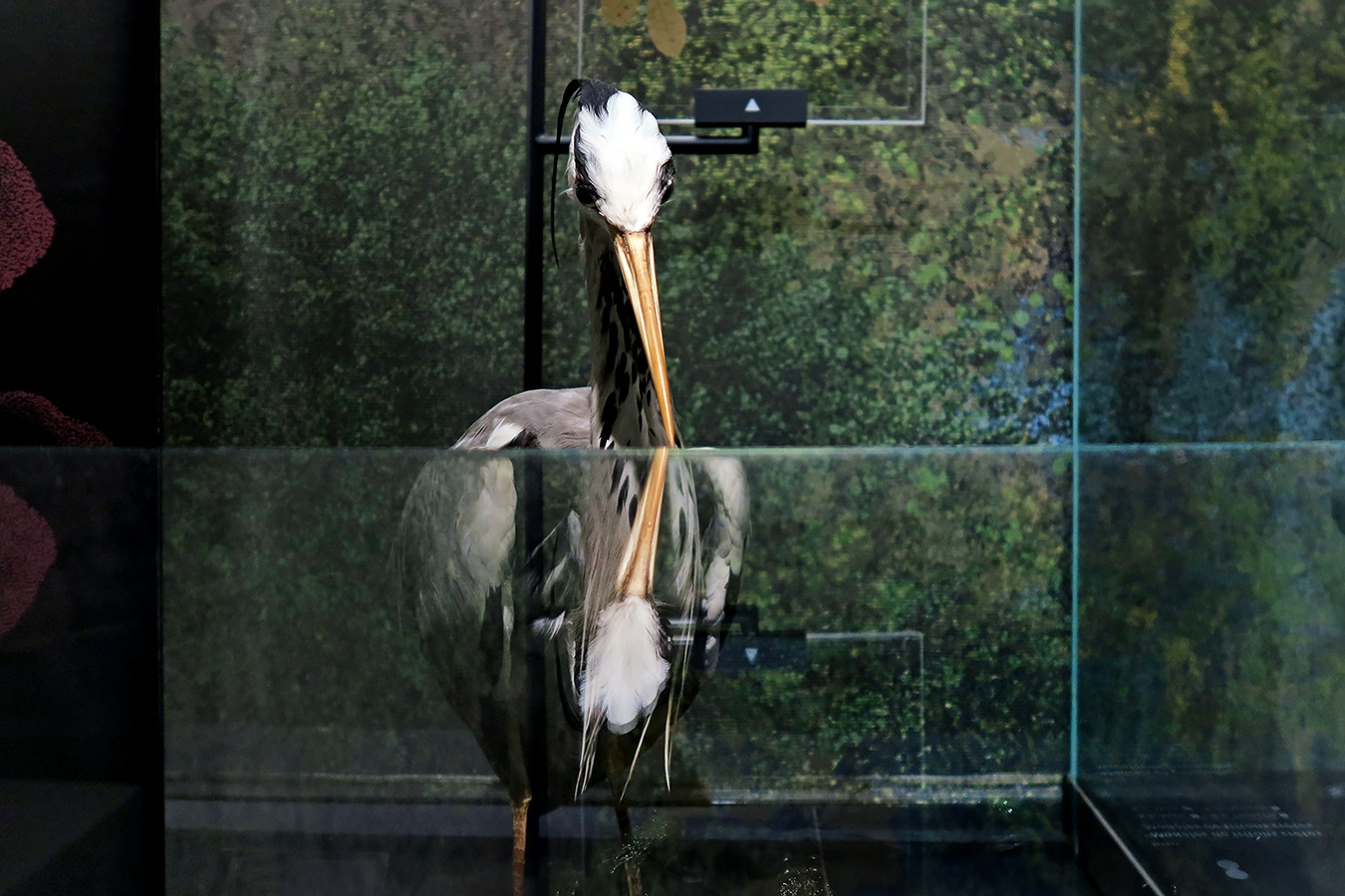 mobe orleans 8-2025 2651