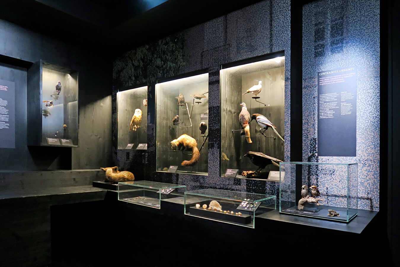 mobe orleans 8-2025 2661