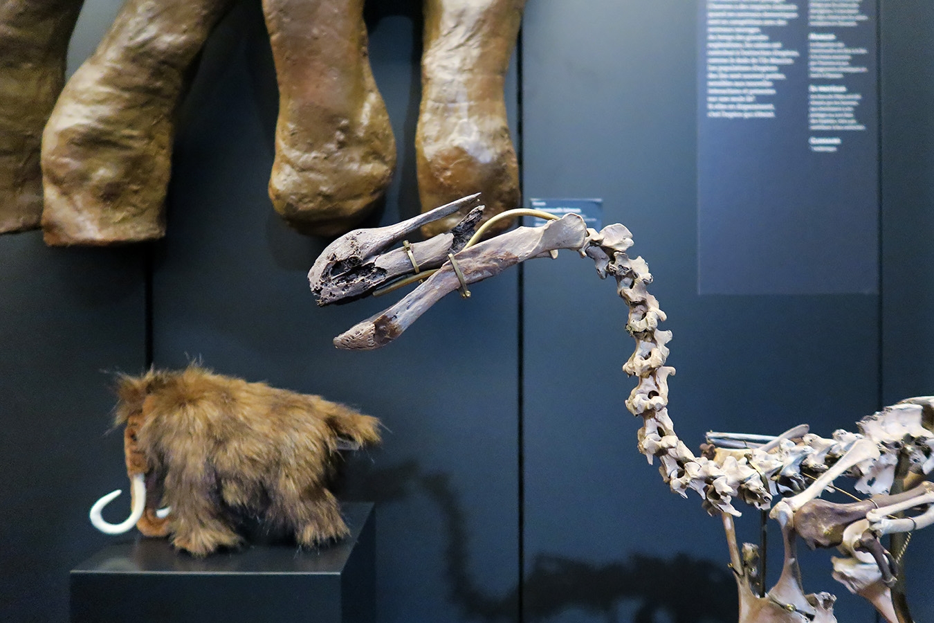 mobe orleans 8-2025 2682