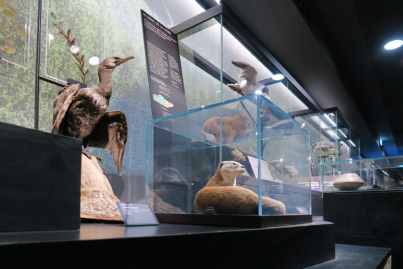 mobe orleans 8-2025 2695