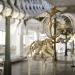 museo di anatomia comparata bologna 8-2022 4654