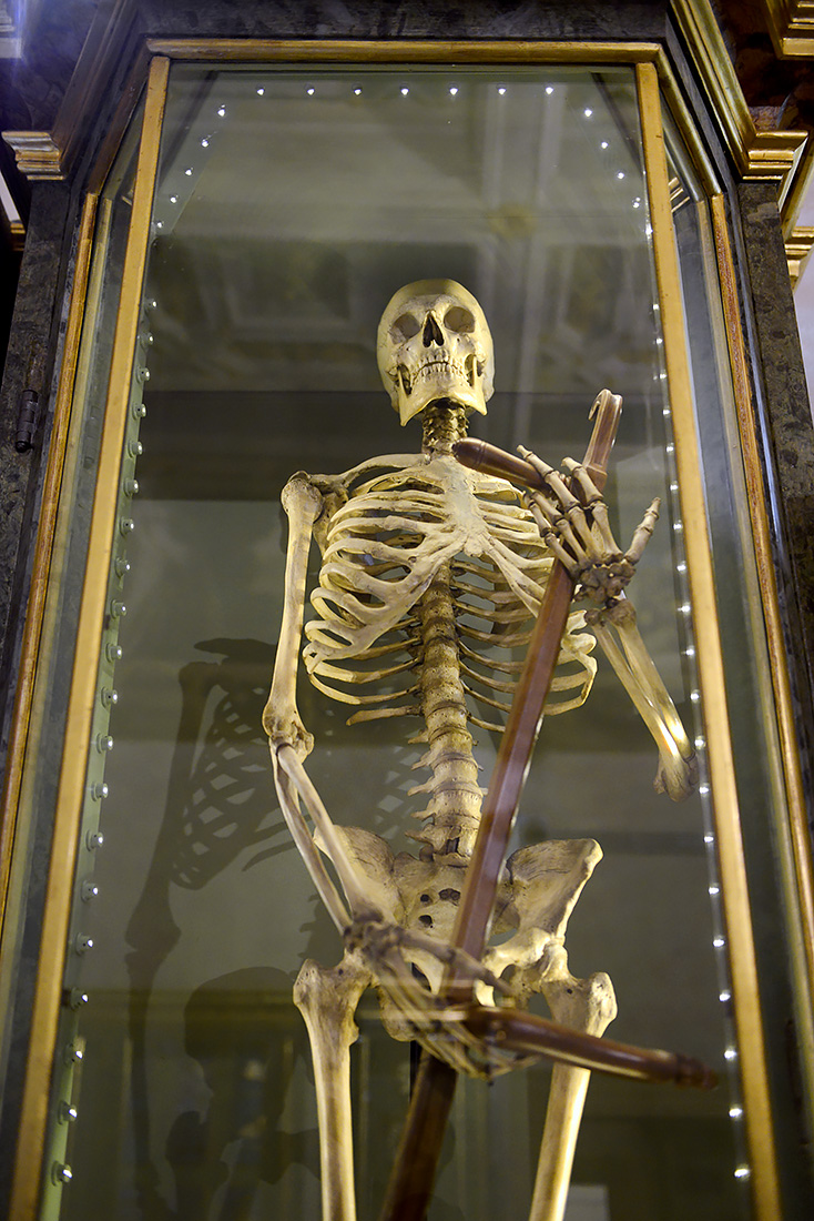 museo di anatomia umana bologna 8-2022 4730