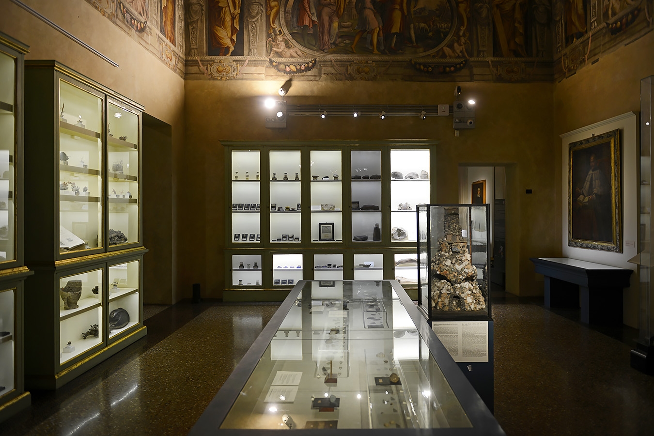 museo di storia naturale bologna 8-2022 3994