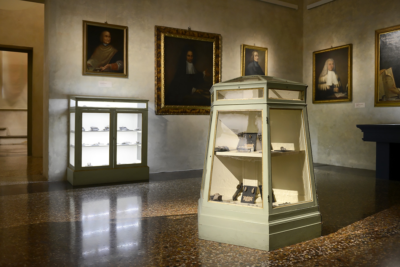 museo di storia naturale bologna 8-2022 4003