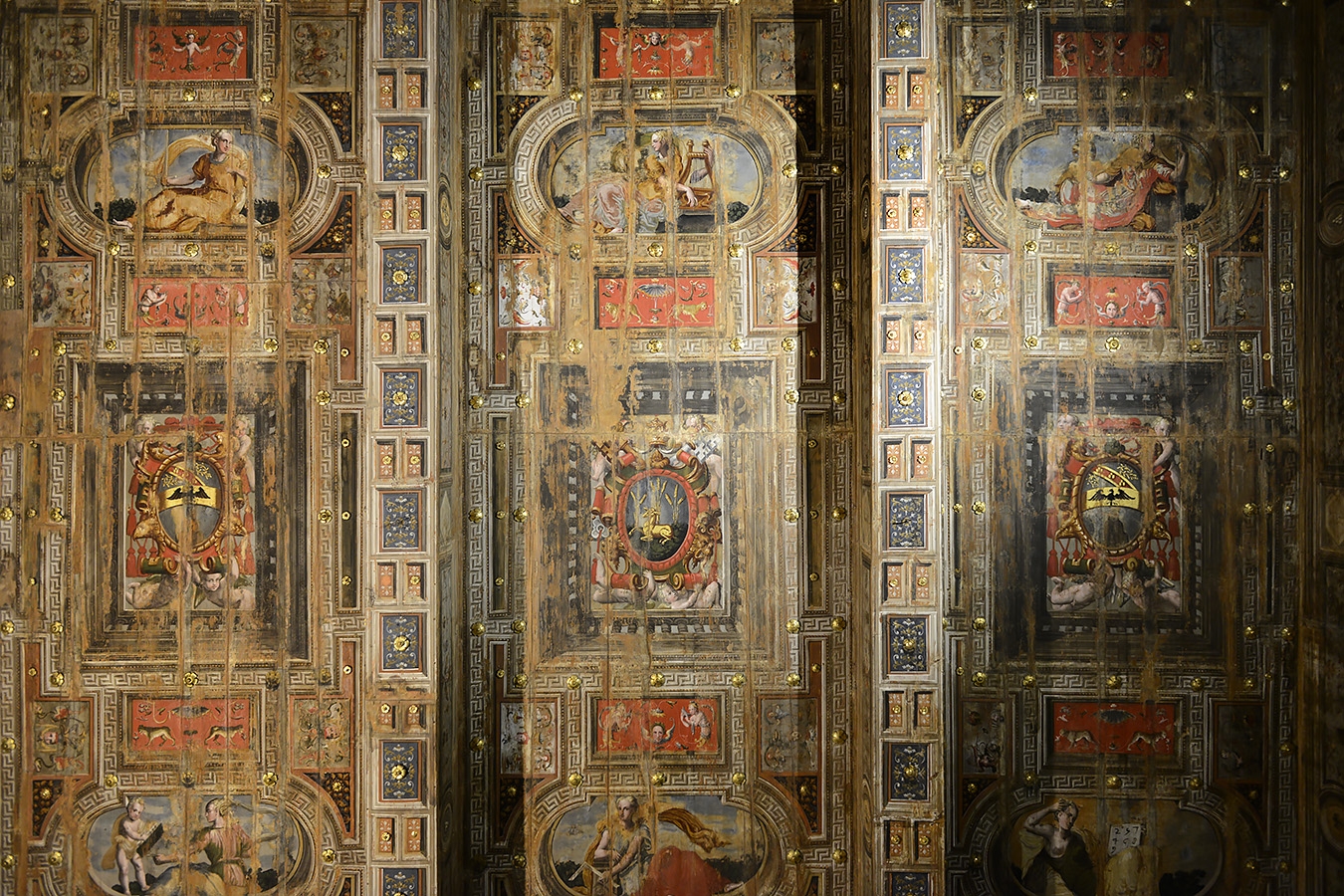 museo di storia naturale bologna 8-2022 4010