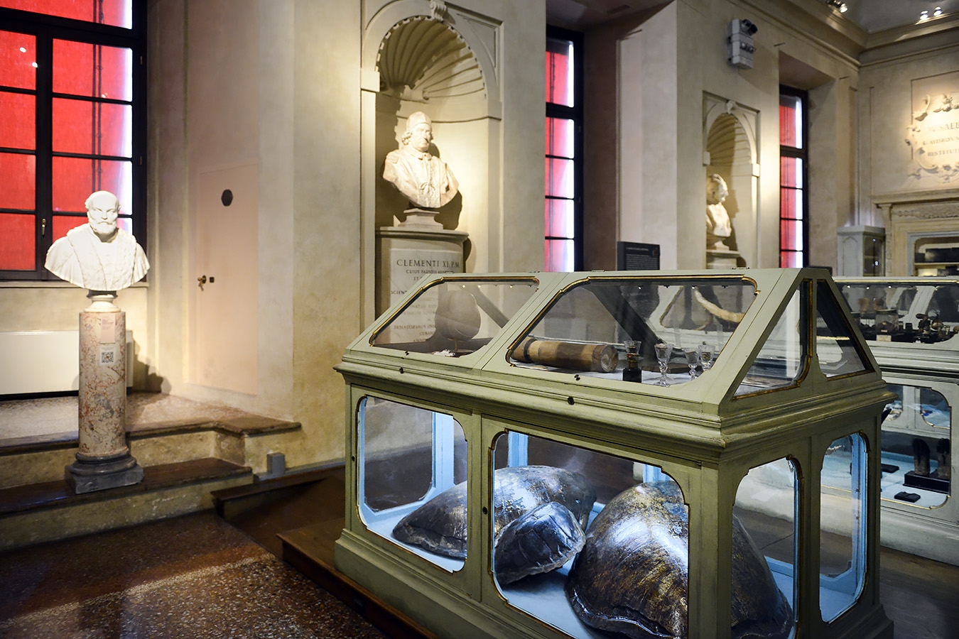 museo di storia naturale bologna 8-2022 4146