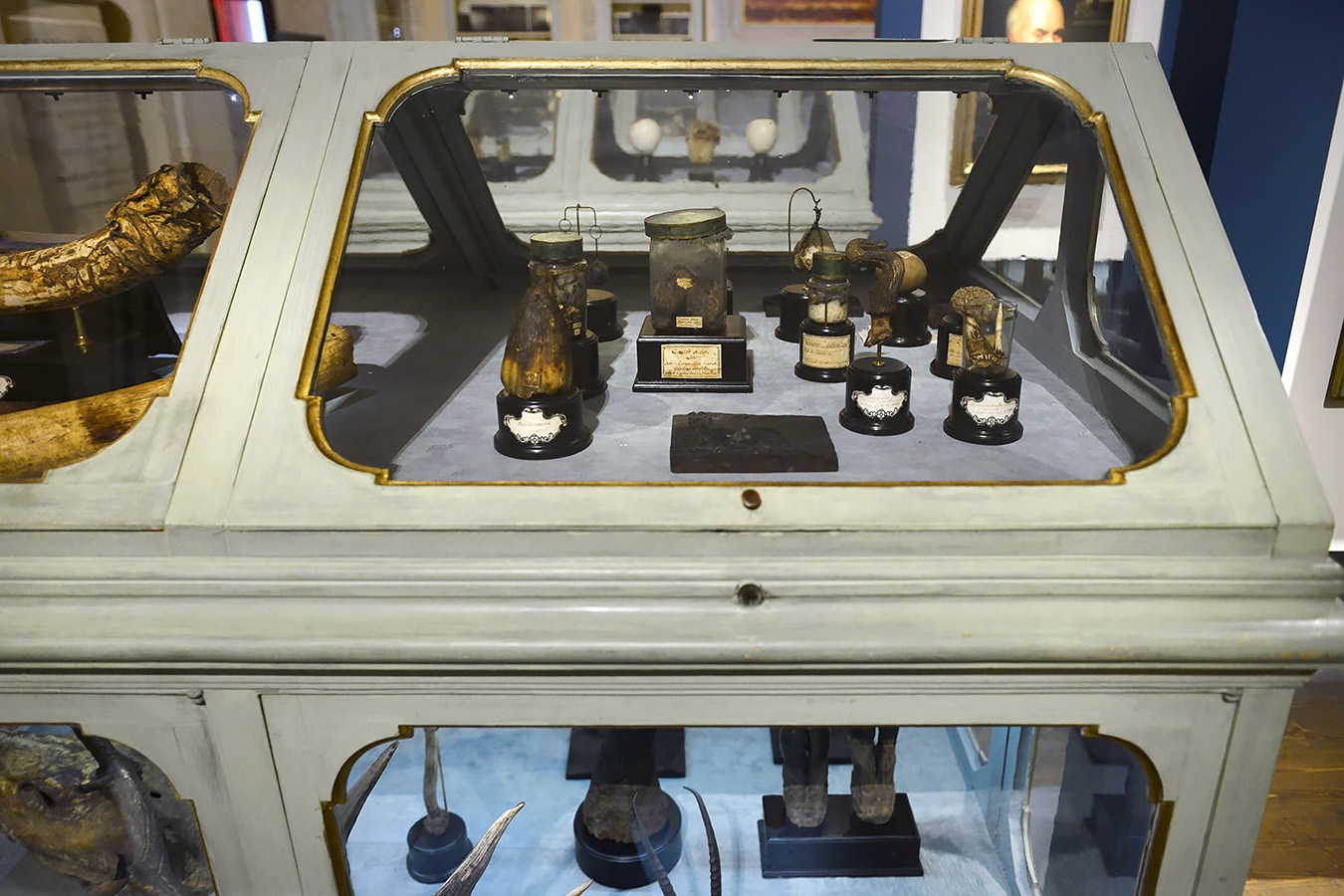 museo di storia naturale bologna 8-2022 4705