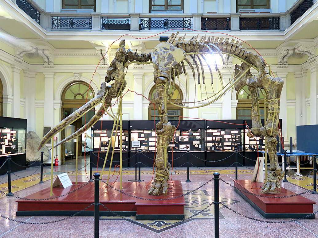museo giacomo doria genua 7-2019 7760