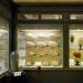 museo ostetrico giovan antonio galli bologna 8-2022 4039
