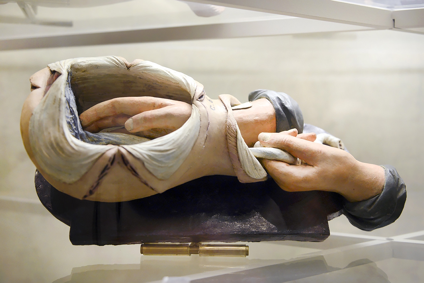 museo ostetrico giovan antonio galli bologna 8-2022 4104