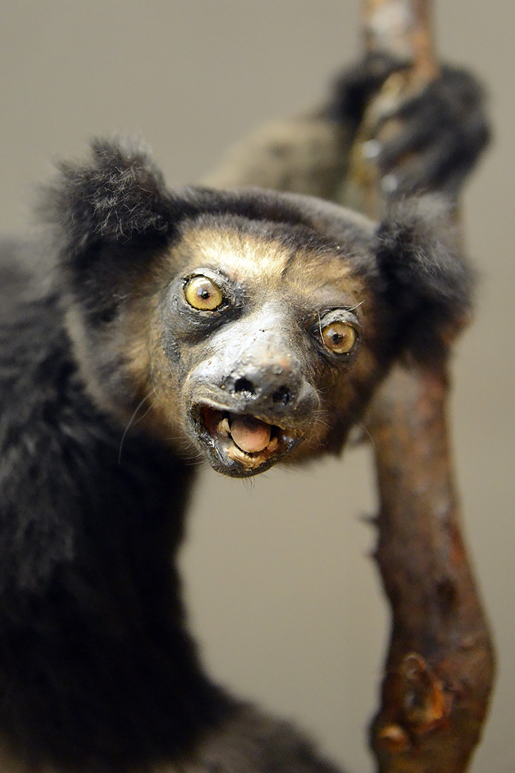 museum aquarium de nancy 8-2022 3829