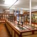 museum de histoire naturelle rouen 8-2021 9405