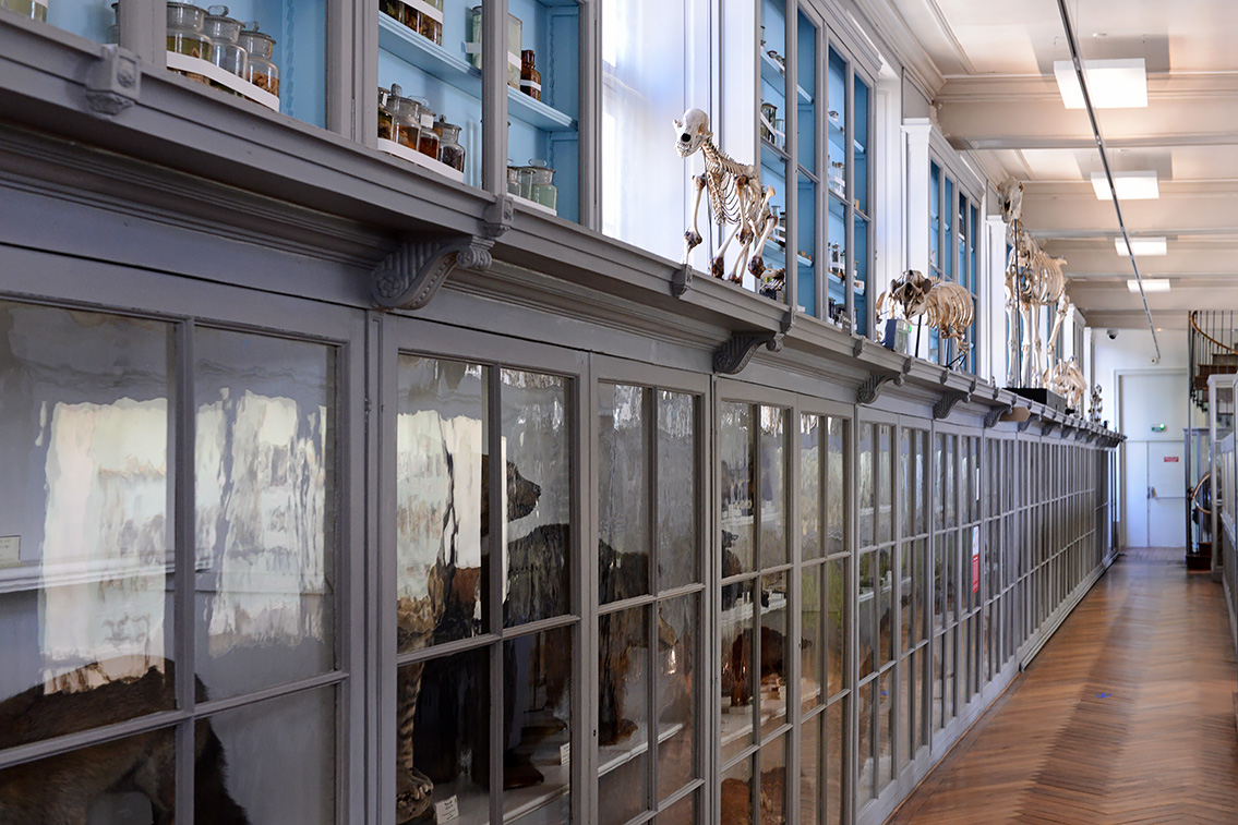 museum de histoire naturelle rouen 8-2021 9483