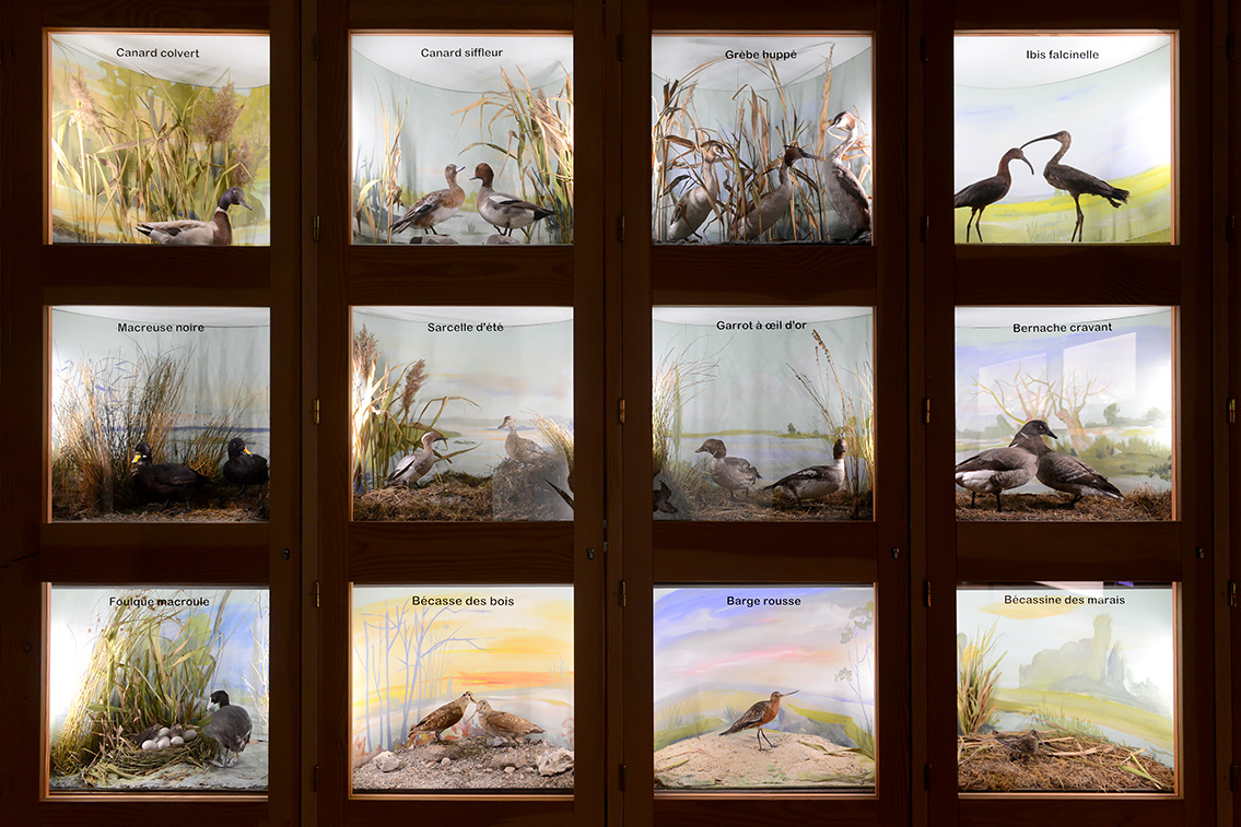 museum de histoire naturelle rouen 8-2021 9511