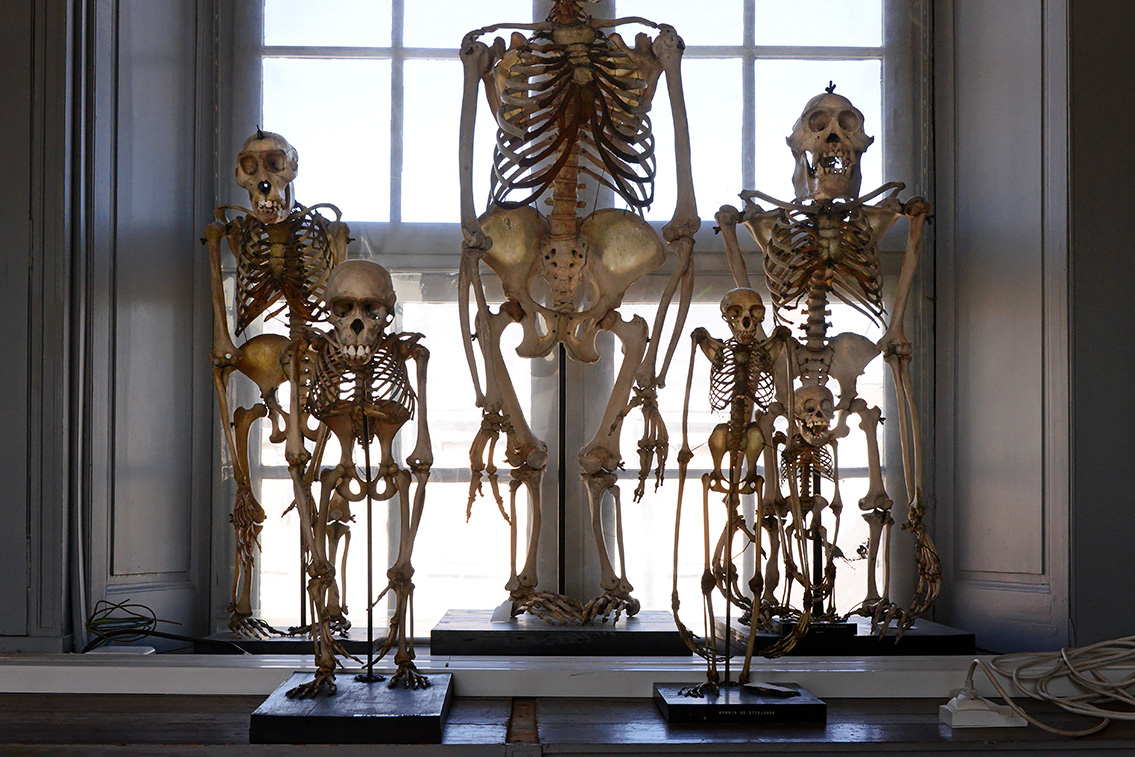 museum de histoire naturelle rouen 8-2021 9571-