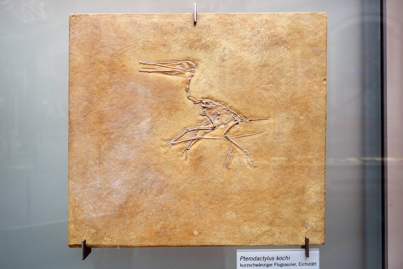 museum fur naturkunde berlin 5-2025 1225