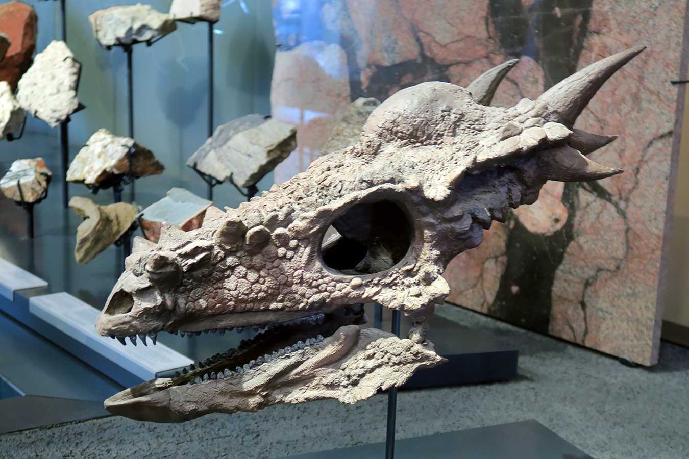 museum fur naturkunde berlin 5-2025 1264