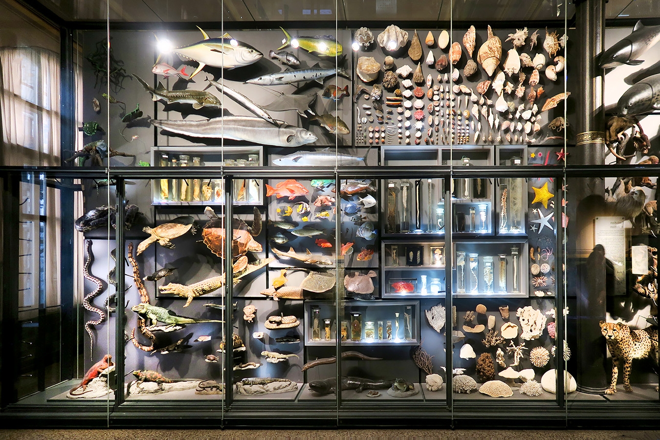 museum fur naturkunde berlin 5-2025 1295