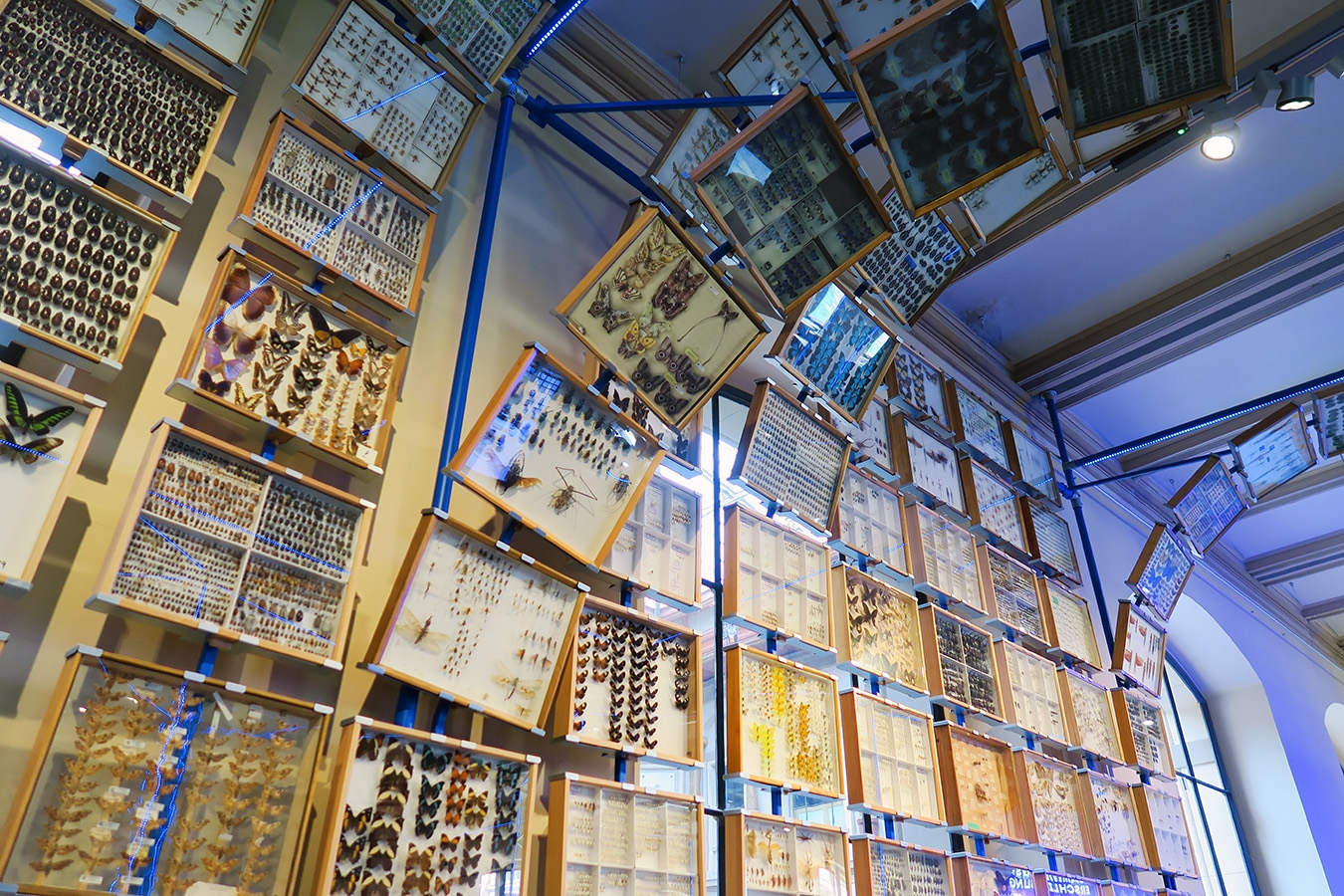 museum fur naturkunde berlin 5-2025 1332