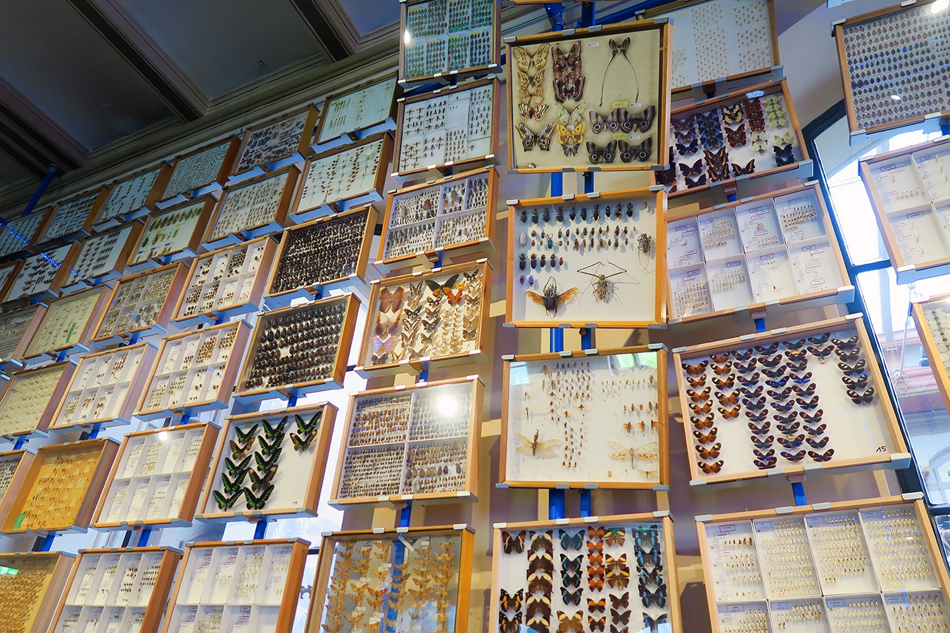 museum fur naturkunde berlin 5-2025 1333