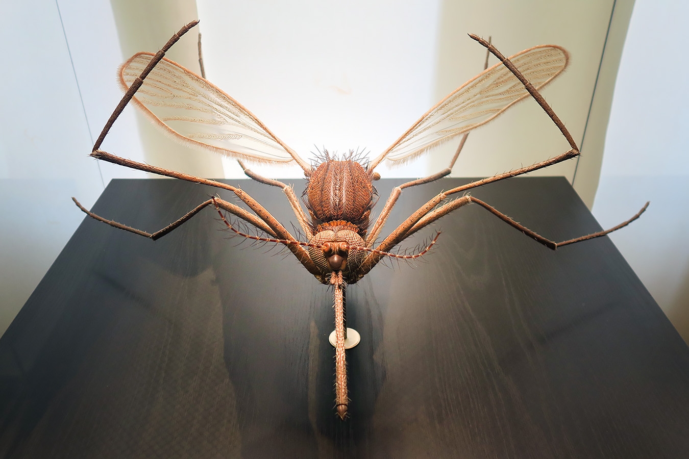 museum fur naturkunde berlin 5-2025 1374