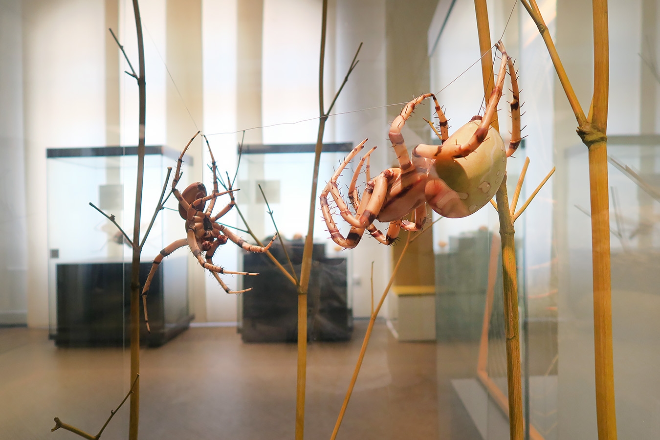 museum fur naturkunde berlin 5-2025 1388