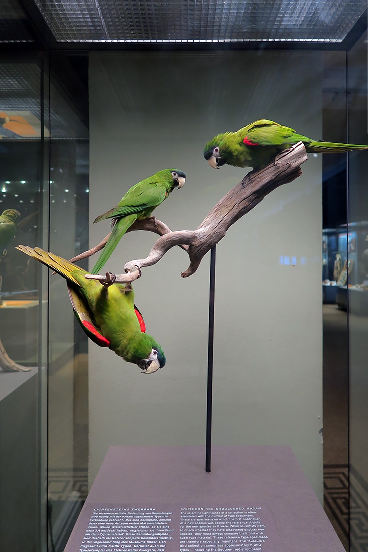 museum fur naturkunde berlin 5-2025 1406
