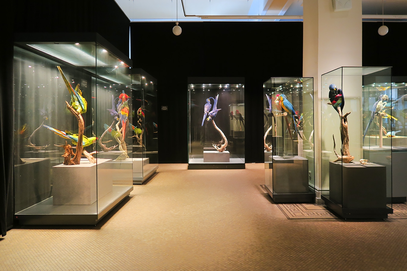 museum fur naturkunde berlin 5-2025 1413