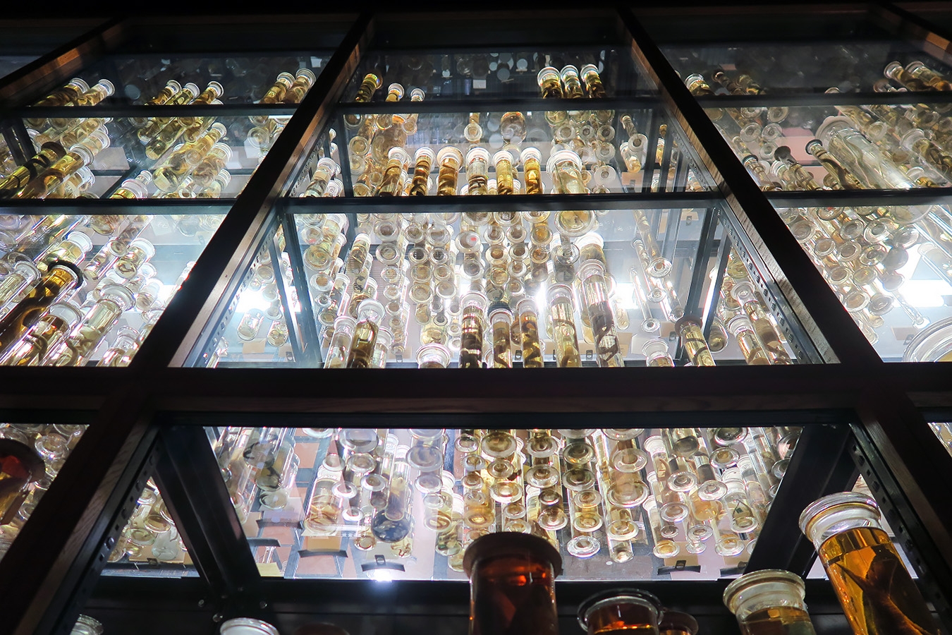 museum fur naturkunde berlin 5-2025 1467