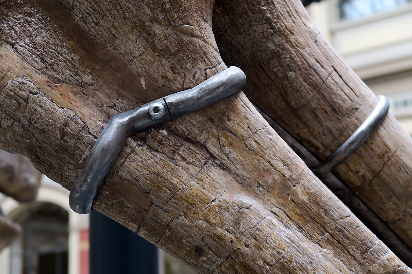 museum fur naturkunde berlin 5-2025 1490