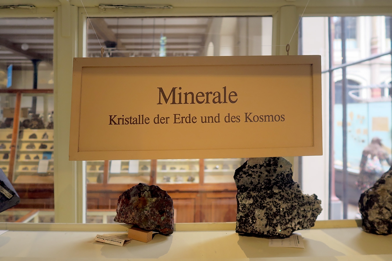 museum fur naturkunde berlin 5-2025 1493