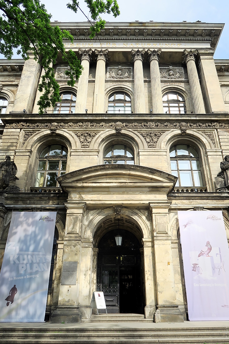 museum fur naturkunde berlin 5-2025 1498