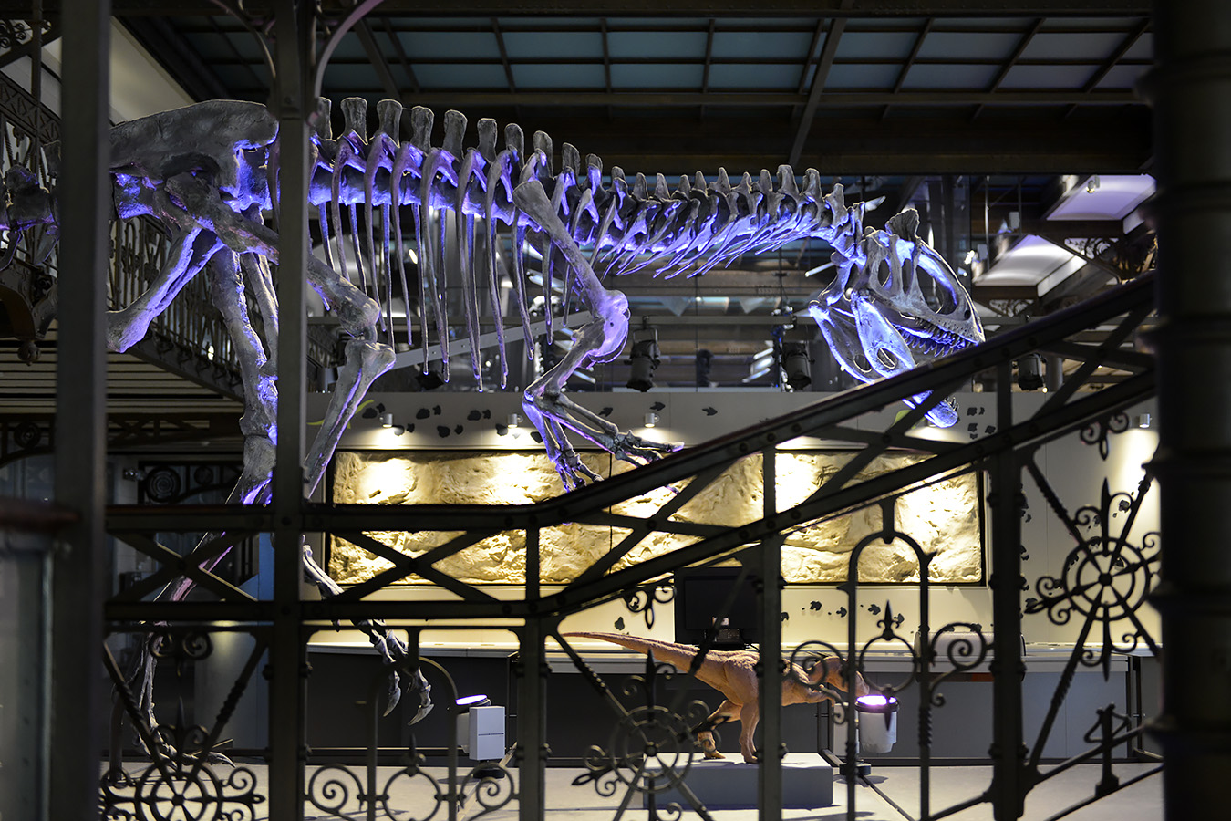 museum voor natuurwetenschappen brussel 11-2022 5559