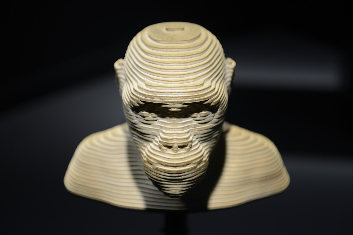 museum voor natuurwetenschappen brussel 11-2022 5575