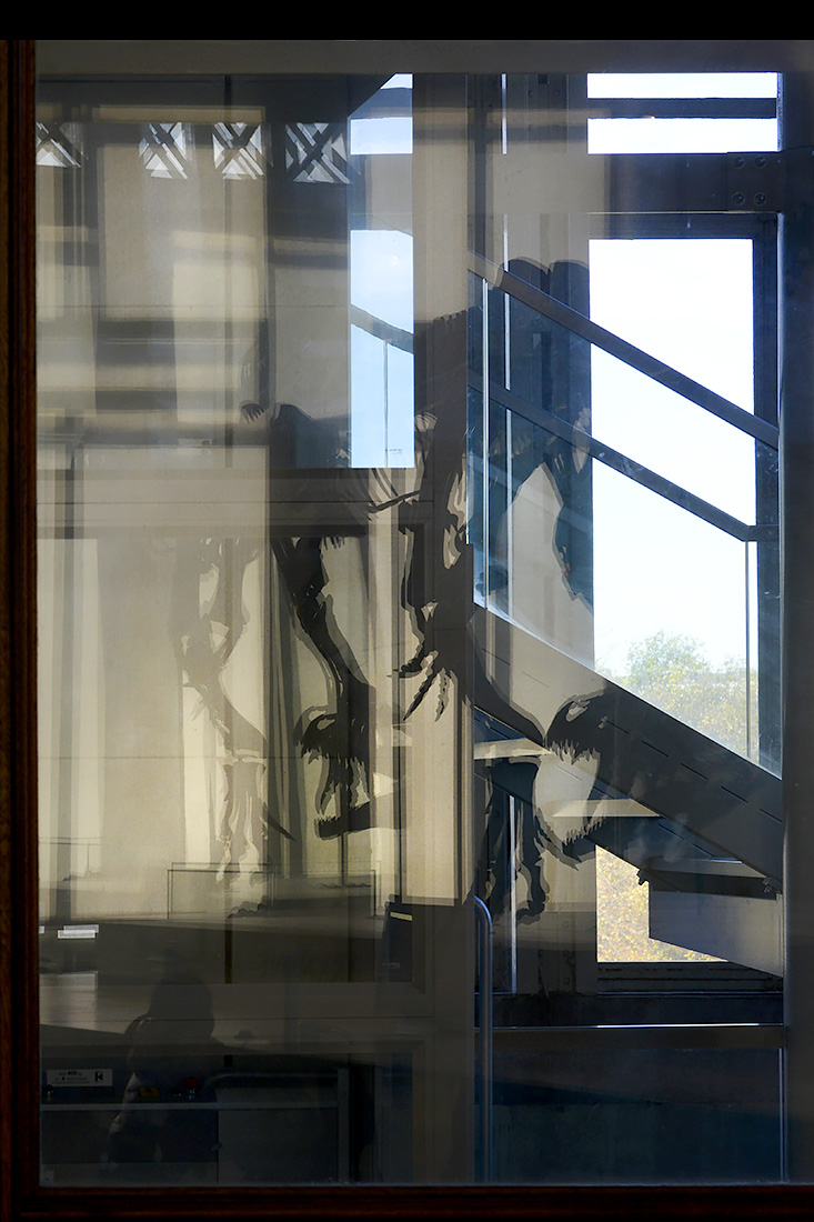 museum voor natuurwetenschappen brussel 11-2022 5609