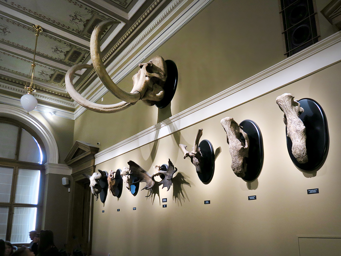 narodni muzeum praag 7-2023 8985