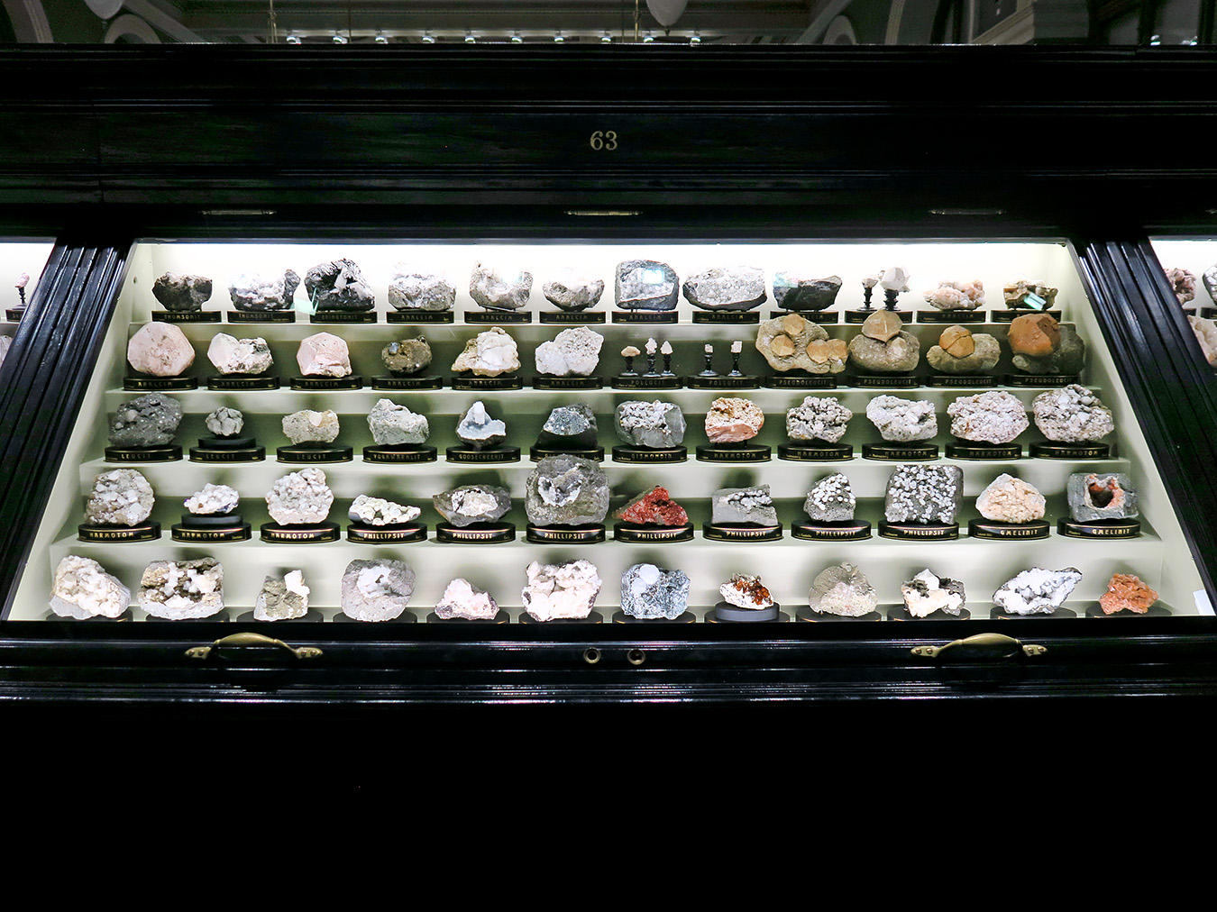 narodni muzeum praag 7-2023 8989