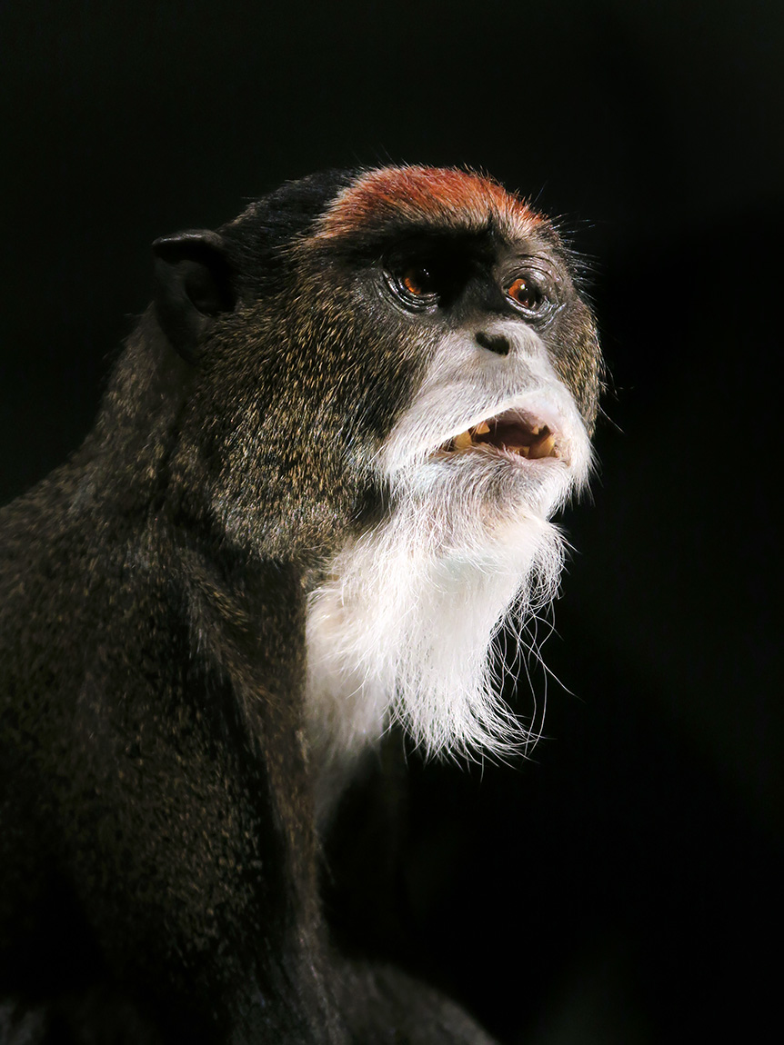 narodni muzeum praag 7-2023 9007