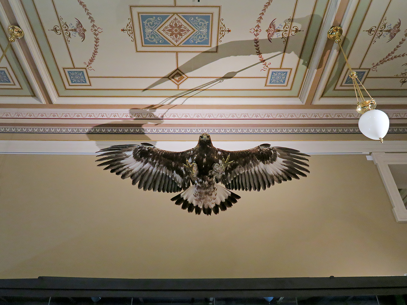 narodni muzeum praag 7-2023 9030