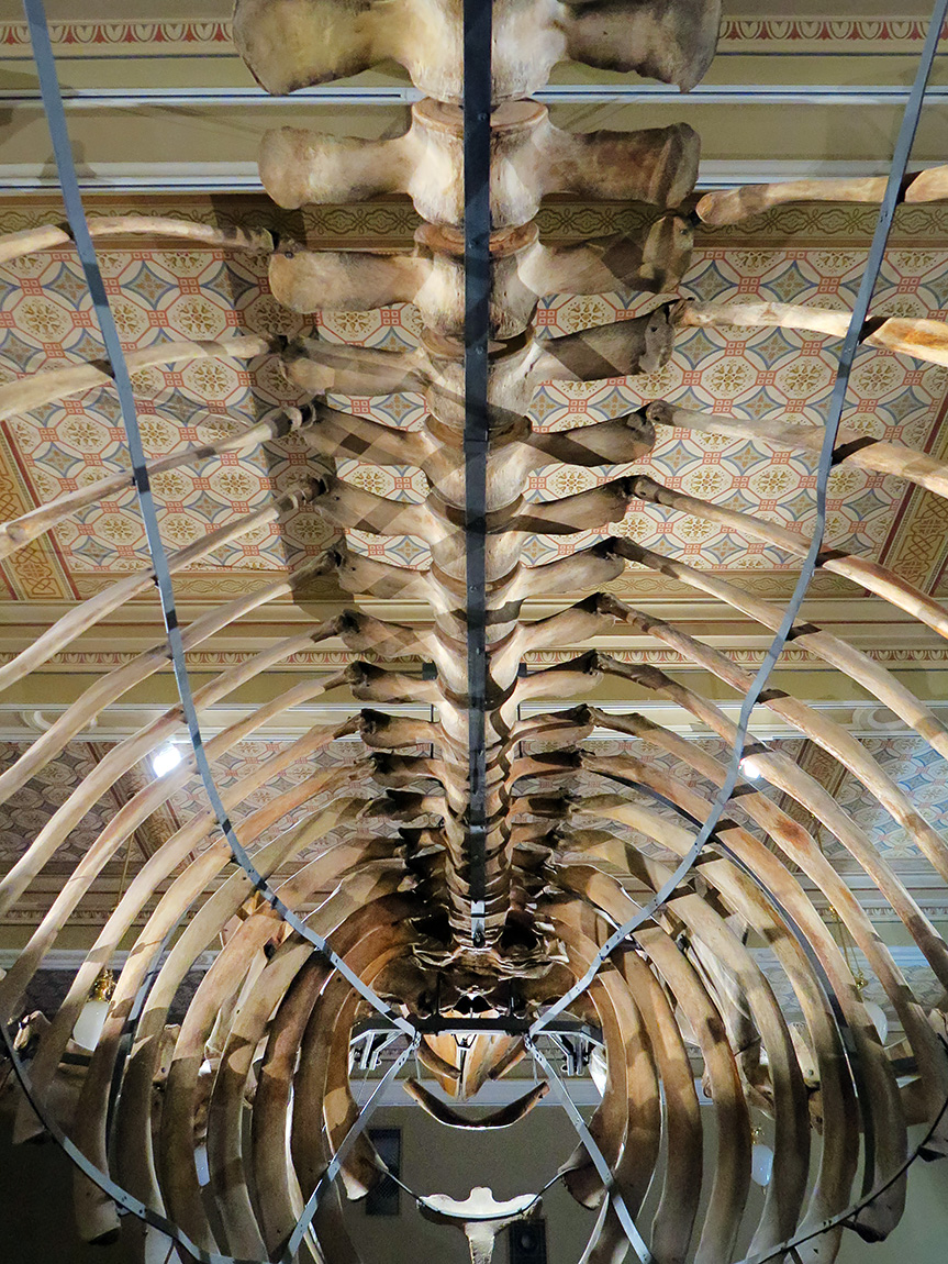 narodni muzeum praag 7-2023 9054