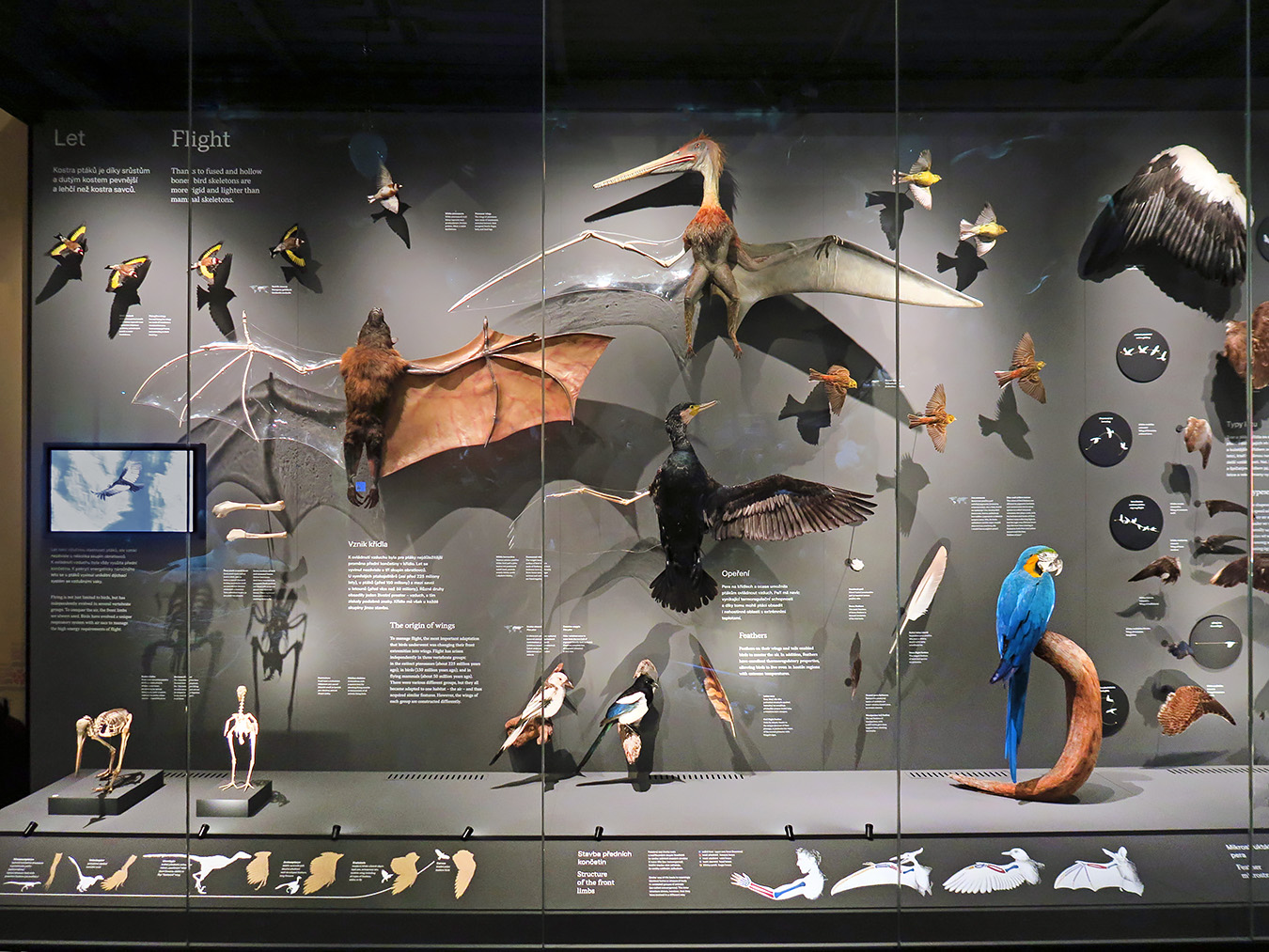 narodni muzeum praag 7-2023 9066